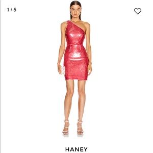 Haney Serena Sequin Dress Size 2 NWT